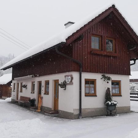 Apartment Natur Herz Haus im Ennstal Buitenkant foto