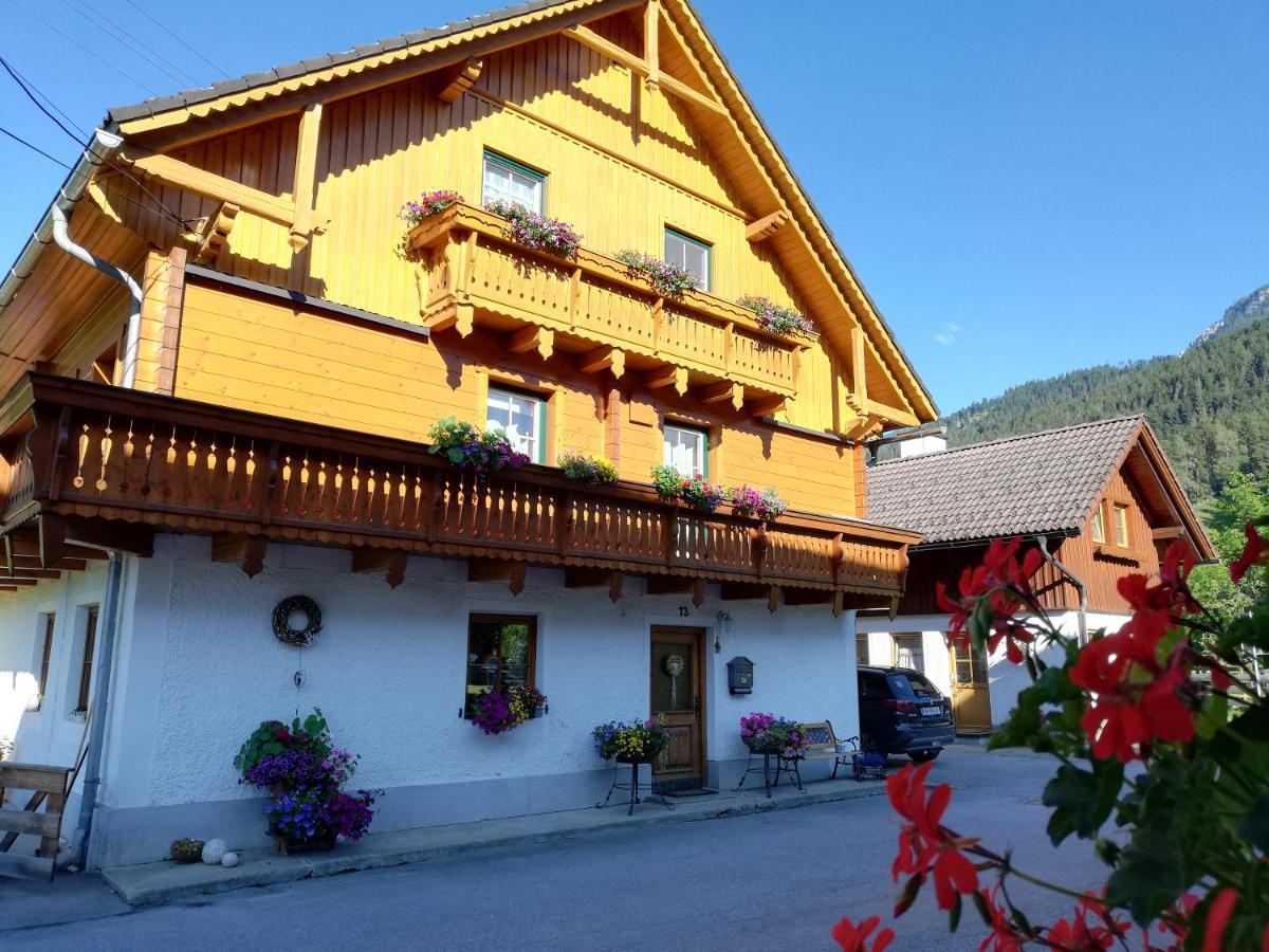 Apartment Natur Herz Haus im Ennstal Buitenkant foto