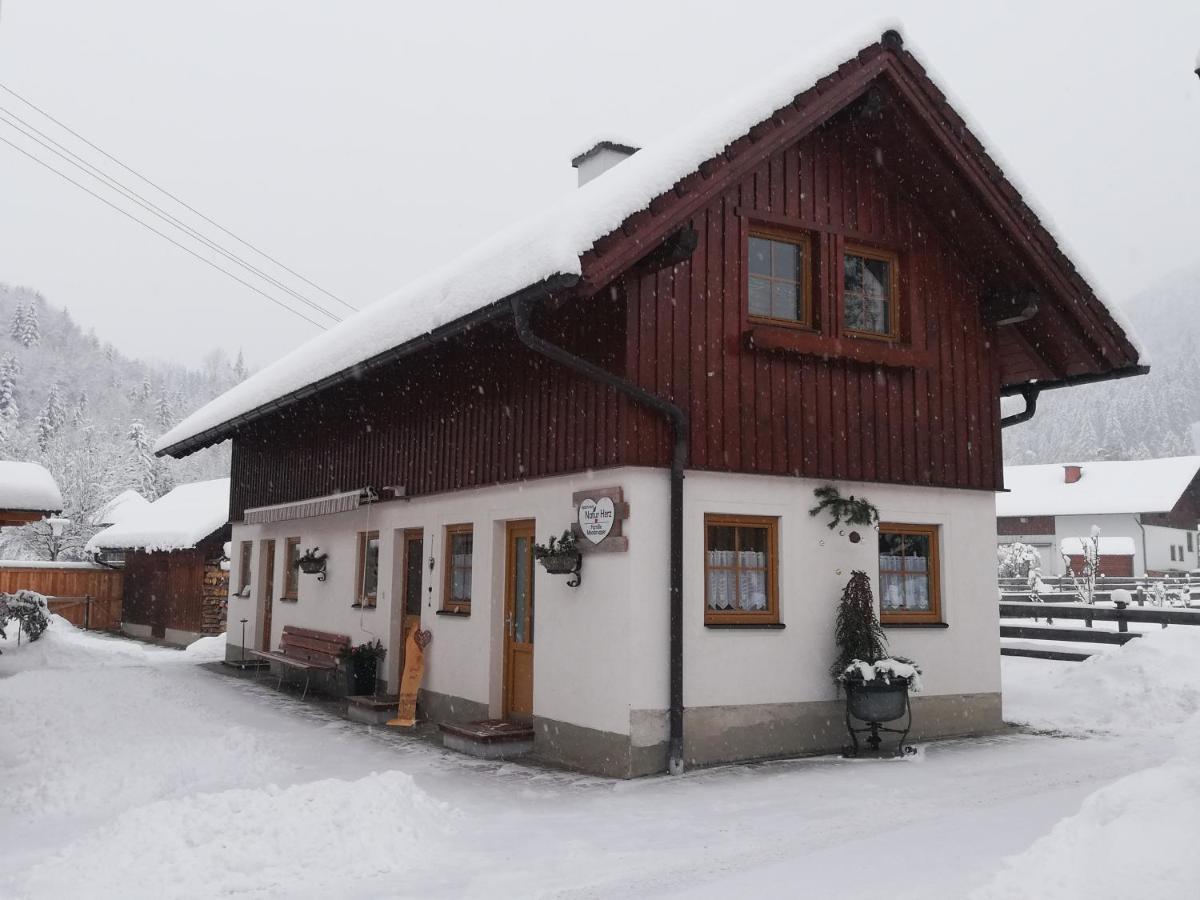 Apartment Natur Herz Haus im Ennstal Buitenkant foto